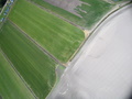./IMG_3174.jpg