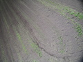 ./IMG_3194.jpg
